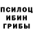 Псилоцибиновые грибы Psilocybine cubensis George Florescu
