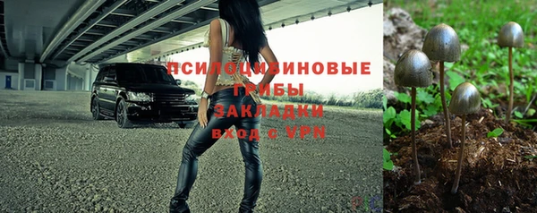 скорость Алзамай
