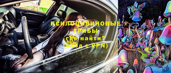 скорость Алзамай