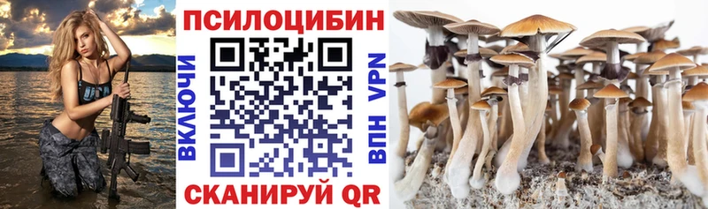 Псилоцибиновые грибы Cubensis  Тосно 